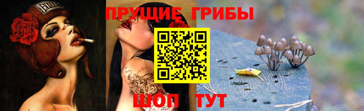 Галлюциногенные грибы мицелий  Галлюциногенные грибы Magic Shrooms  Топки  Вход с VPN 